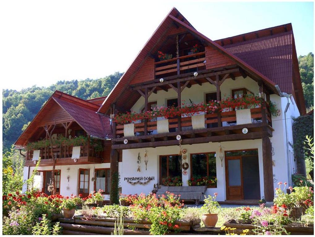 Pensiunea Doina Vadu Izei Exterior photo